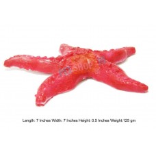 Star Fish Large Aquarium Decor